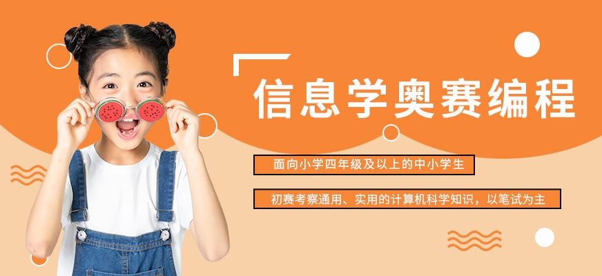信息学奥赛编程