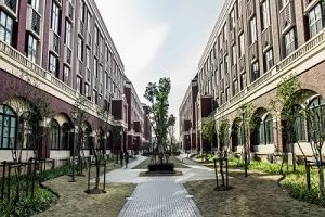 上海建桥国际高中校园环境