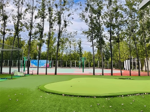 北京橘郡国际学校DSE