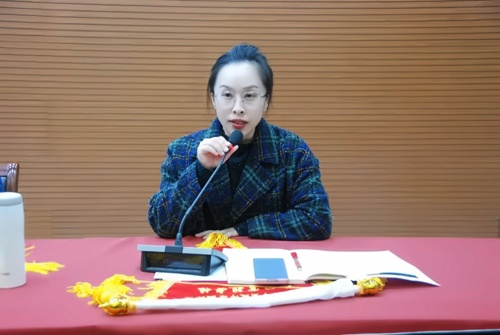 丁岚副主任主持