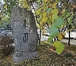 来园秋景