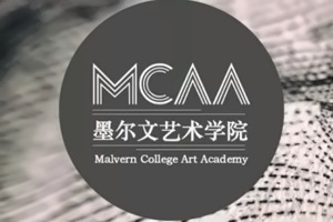 青岛墨尔文中学国际高中艺术课程招生简章