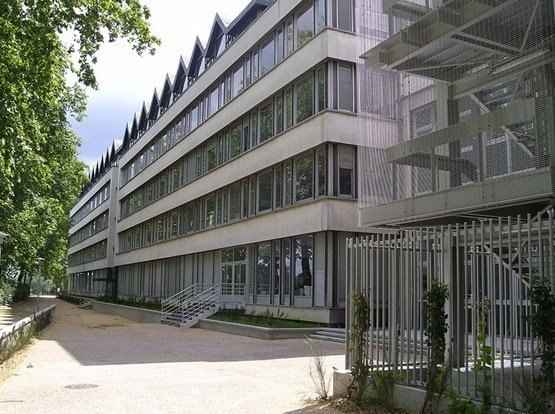 图尔大学
