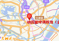 动因篮球训练馆（金雅大厦店）