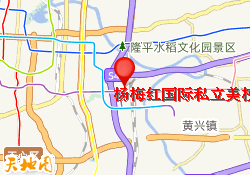 杨梅红国际私立美校