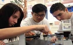 皮尔格雷姆学校