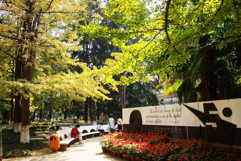 云南大学