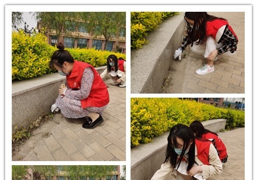 石家庄交通运输学校