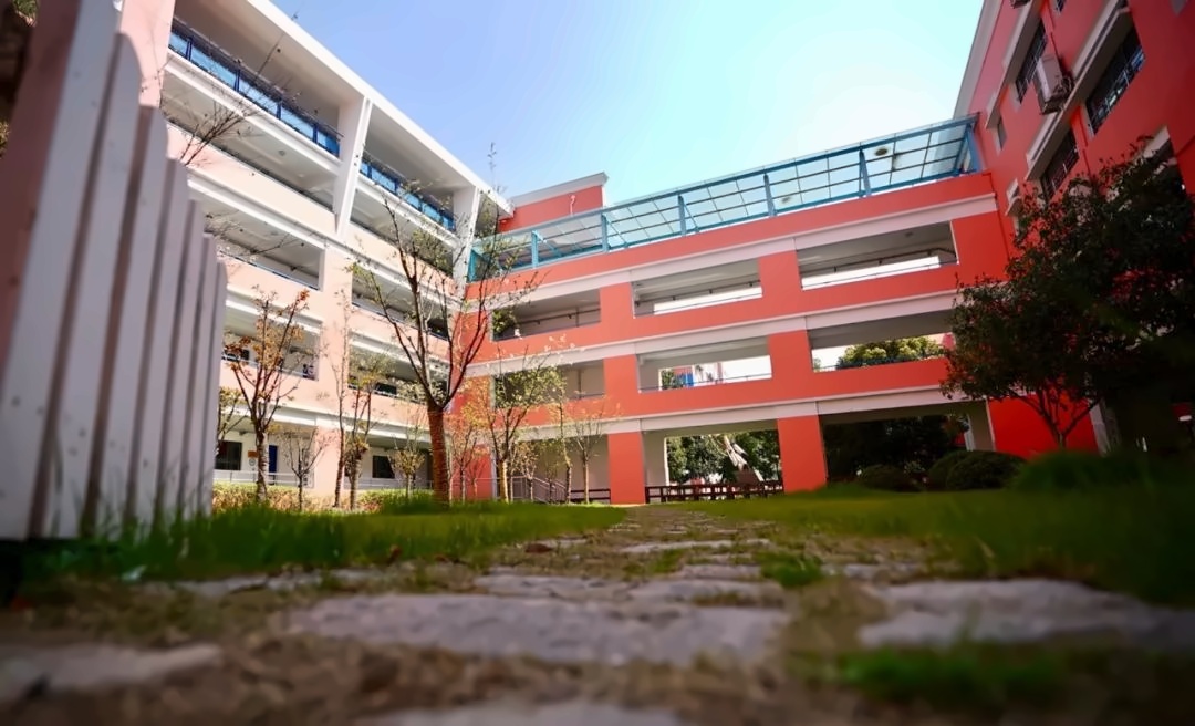 诺科学校.jpg