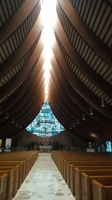 学校官方图片