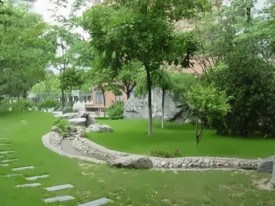北京师范大学第二附属中学国际部纳赛尔SACC英国课程