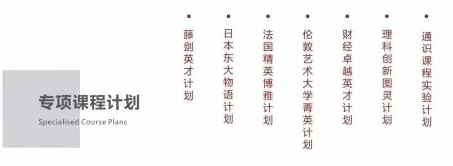 上海天华英澳美学校专项课程计划