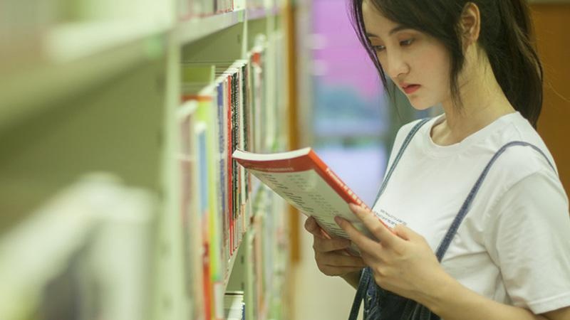课时安排