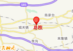 总校