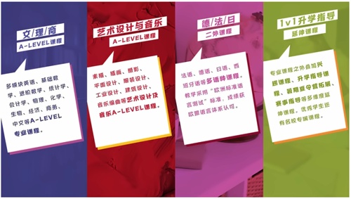 绿城常春藤国际教育课程