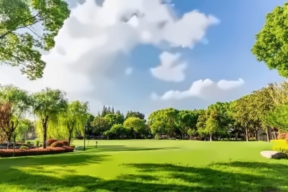 美华学校UIA.jpg