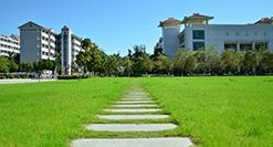 2阶段课程
