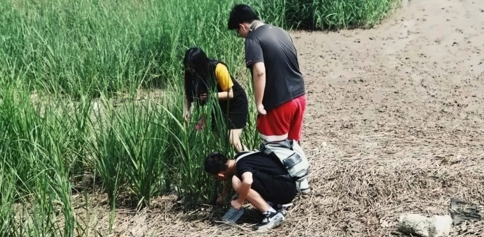 崇明岛之旅.jpg