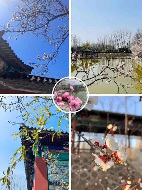 橘郡校园环境