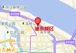 浦东新区