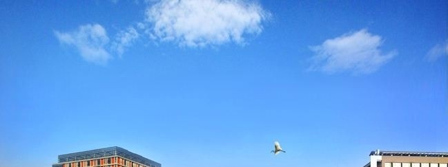 江苏建筑职业技术学院2019年单招录取分数线