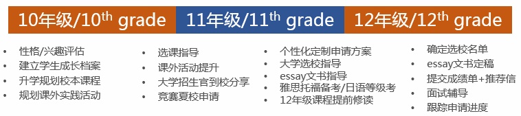 新虹桥中学国际部升学规划流程图.jpg