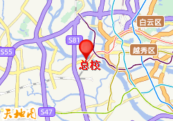 总校