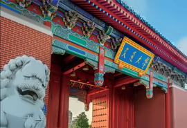 多维艺术校园国际大学课程
