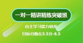 一对一精讲精练突破班