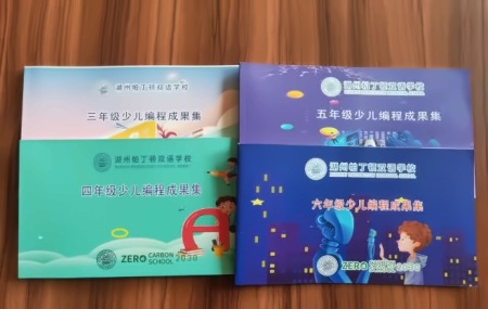 湖州帕丁顿小学部编程课教材.jpg