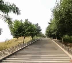 学校风景