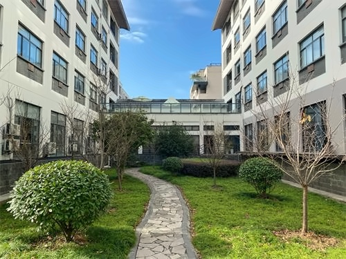 绿城常春藤国际教育