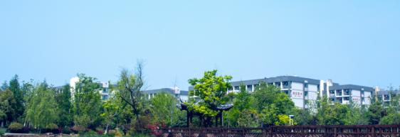 安徽国际商务职业学院2020年学费、收费多少