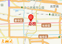 总校