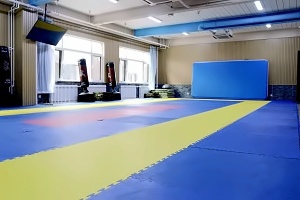 北京新学道临川学校国际部武术教室