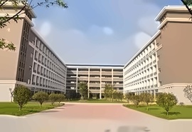 NCC国际预科（IFD）、2+2本科课程