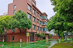 WLSA上海学校美国高中AP课程招生简章