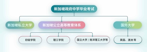 新加坡SSIP公立國(guó)際高中課程升學(xué)通道