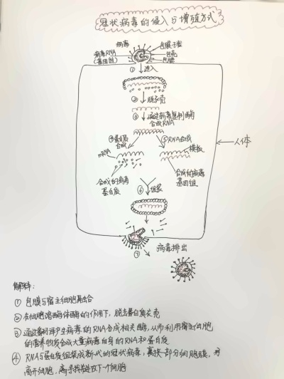 湖州帕丁顿PBL探究活动4.jpg