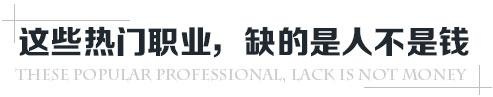 热门职业