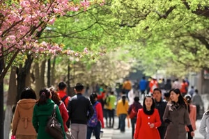 山东师范大学2+2留学招生简章