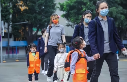 科发幼儿园2月“春天的植物”主题的PBL教学