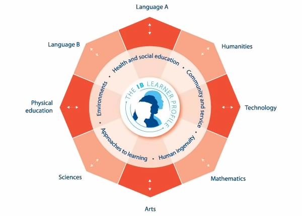 IB Middle Years Programme Diagram