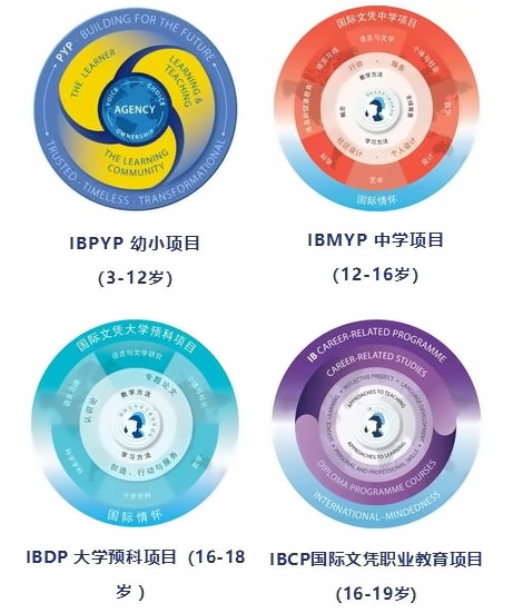 ib课程.jpg