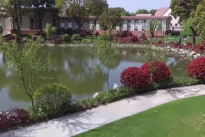 美华学校美国威睿达思国际课程中心湖边景色