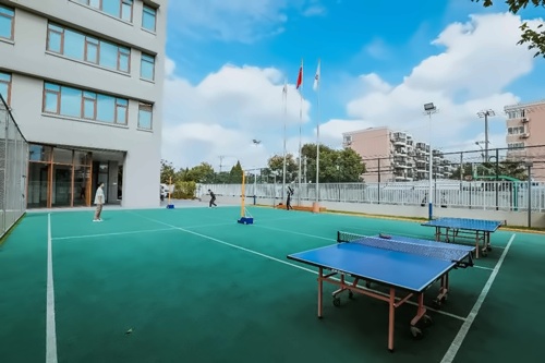 排球场.jpg