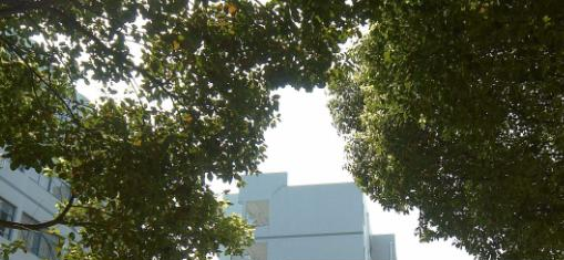 樊城区职业教育中心学校2