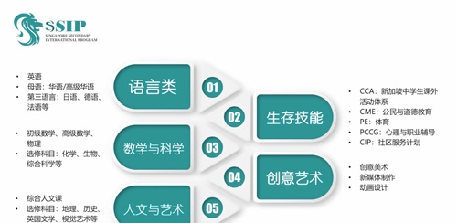 新加坡SSIP公立国际高中课程设置