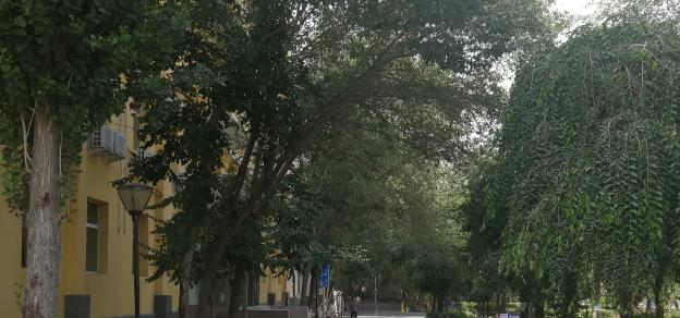 新疆林业学校怎么样、好不好(2023参考)
