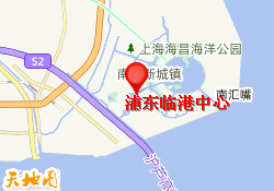 浦东临港中心